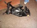 Kia's Pictures 051